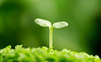 Giải quyết khó khăn và đau khổ